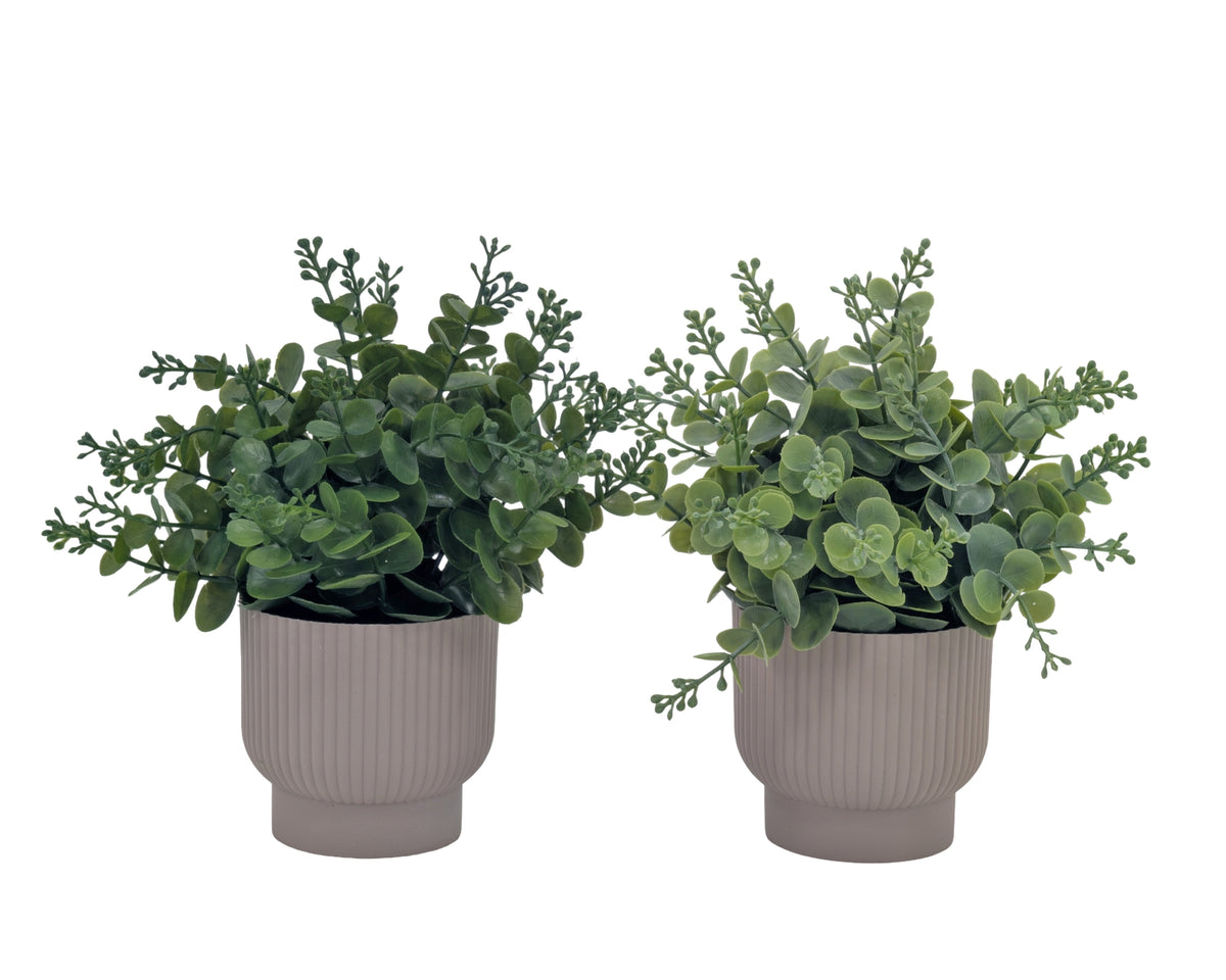 Bulk 24 Artificial Eucalyptus In Pot 24cm 2 Asst