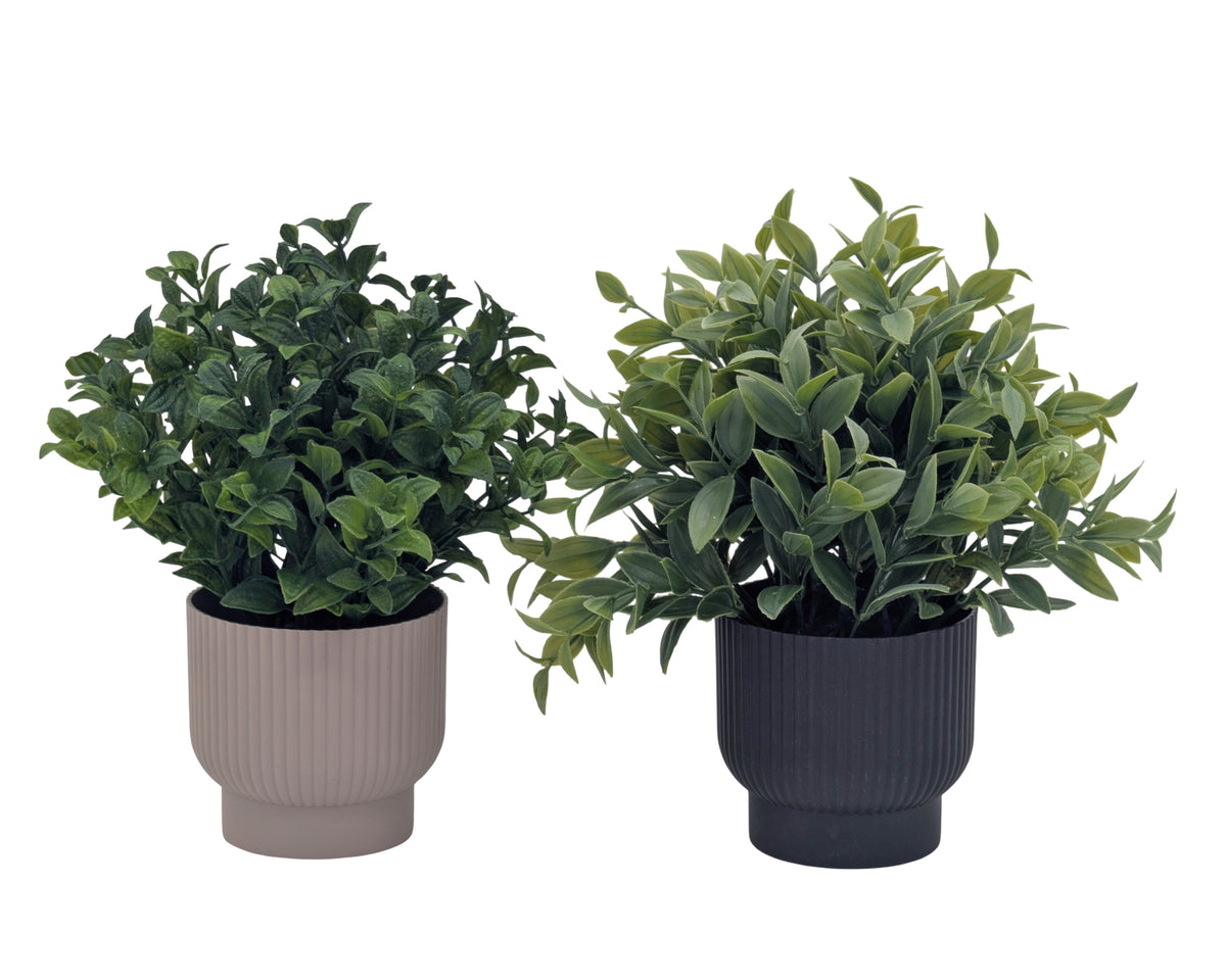 Bulk 24 Artificial Greenery In Pot 24cm 2 Asst