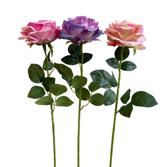 Bulk 24 Large Artificial Gradient Tone Rose Stem 3 Asst