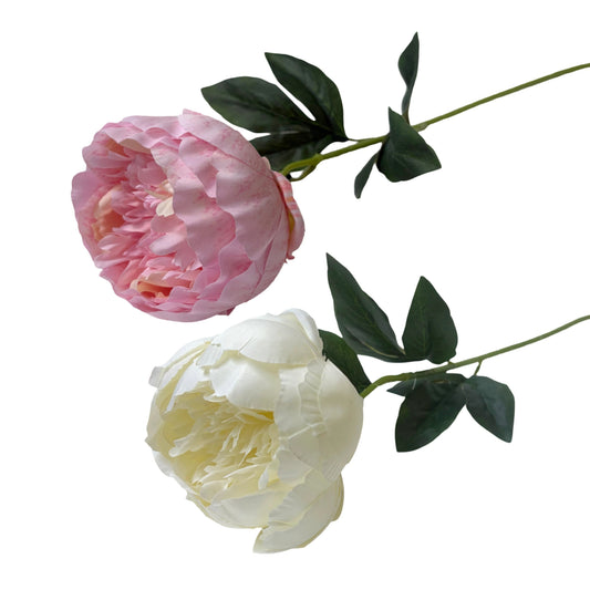 Bulk 24 Artificial Peony Stem 2 Asst
