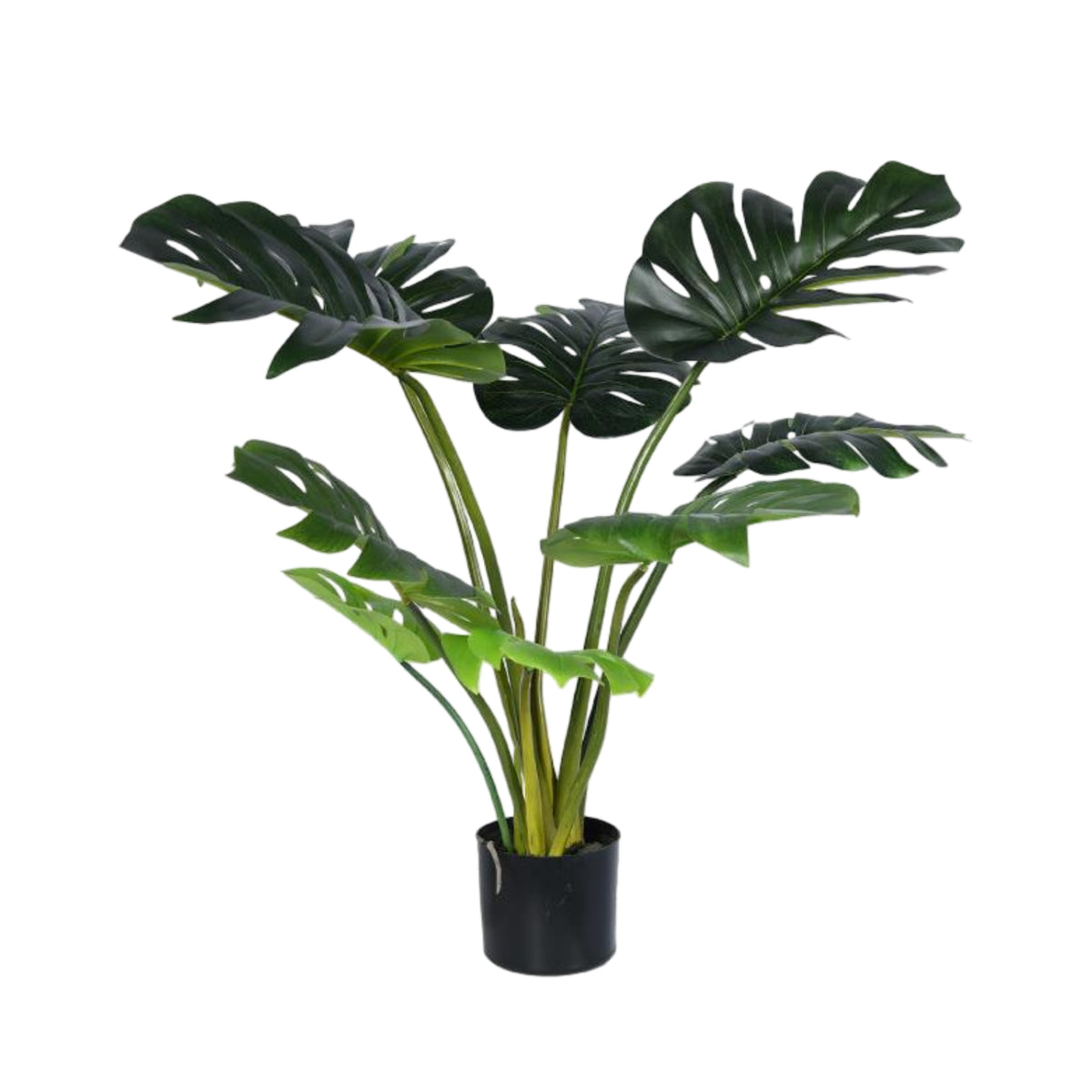Bulk 2 Medium Artificial Real Touch Monstera in Pot