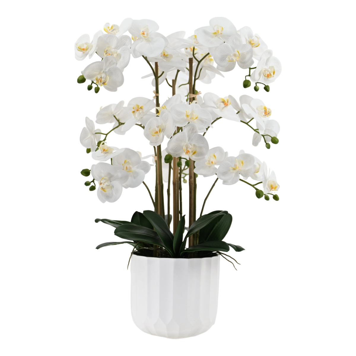 Extra Large Real Touch Artificial White Orchid in Pot