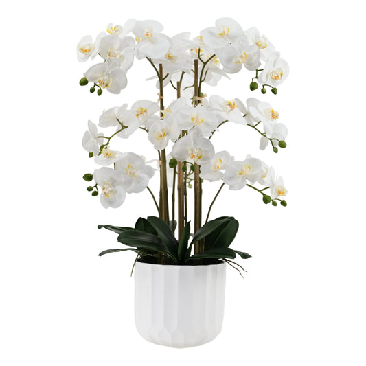 Extra Large Real Touch Artificial White Orchid in Pot