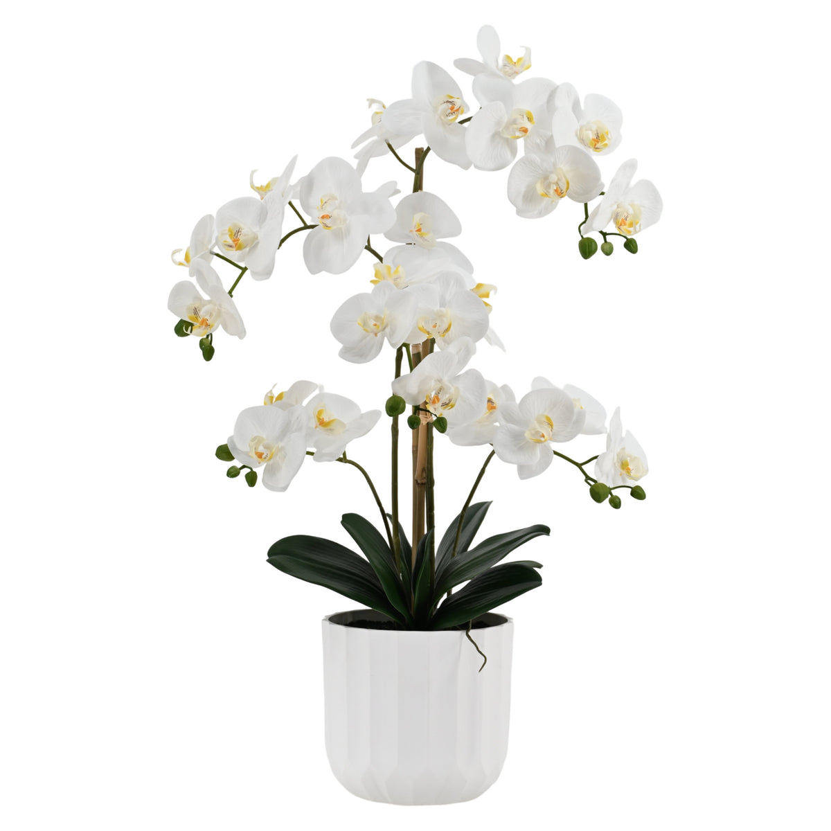 Bulk 2 Large Real Touch Artificial White Orchid in Pot