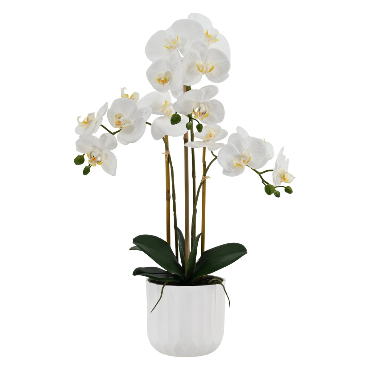 Bulk 4 Medium Real Touch Artificial White Orchid in Pot