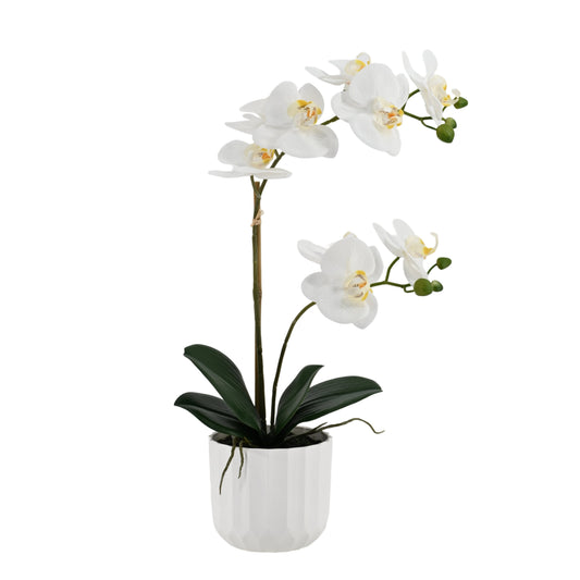 Bulk 4 Small Real Touch Artificial White Orchid in Pot