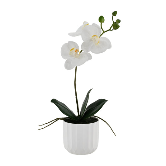 Bulk 6 Mini Real Touch Artificial White Orchid in Pot