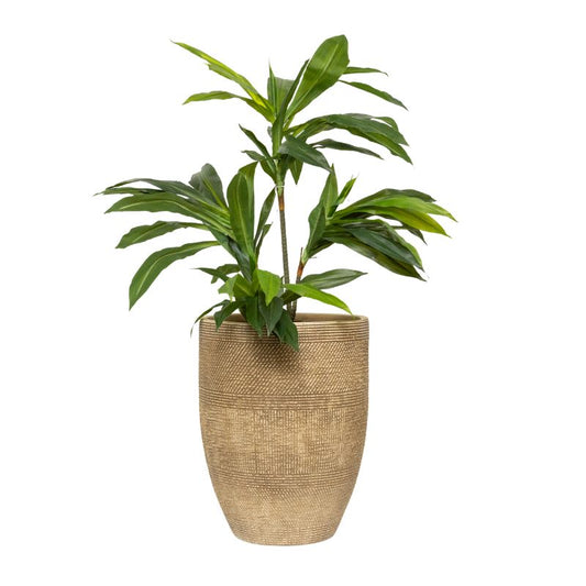 Subtle Textured Contemporary Planter 49cm