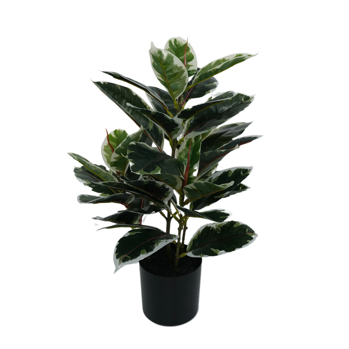 Artificial Bushy Dense Variegated Ficus Tree (Rubber Tree) 50cm