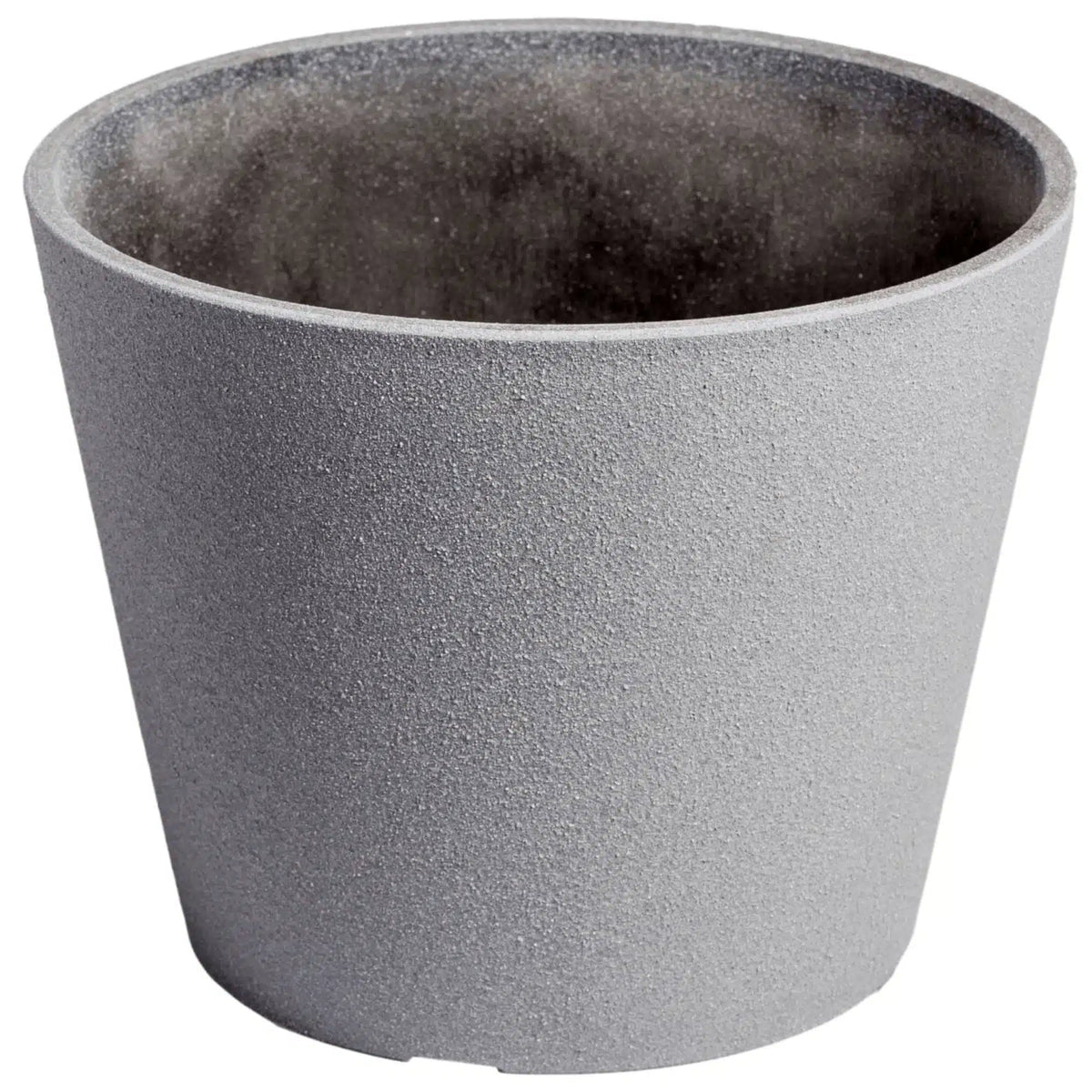 Premium Areca Palm Tree and Render Pot Bundle - Image 4
