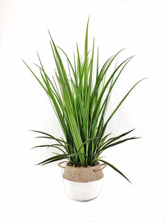 Artificial Grass in Cement Pot 76cm