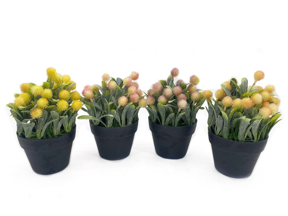 Set 4 Artificial Protea in Pot 20cm