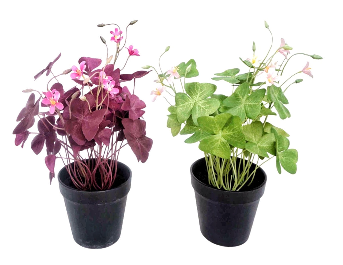 Set 2 Artificial Oxalis Triangularis Plant 35cm
