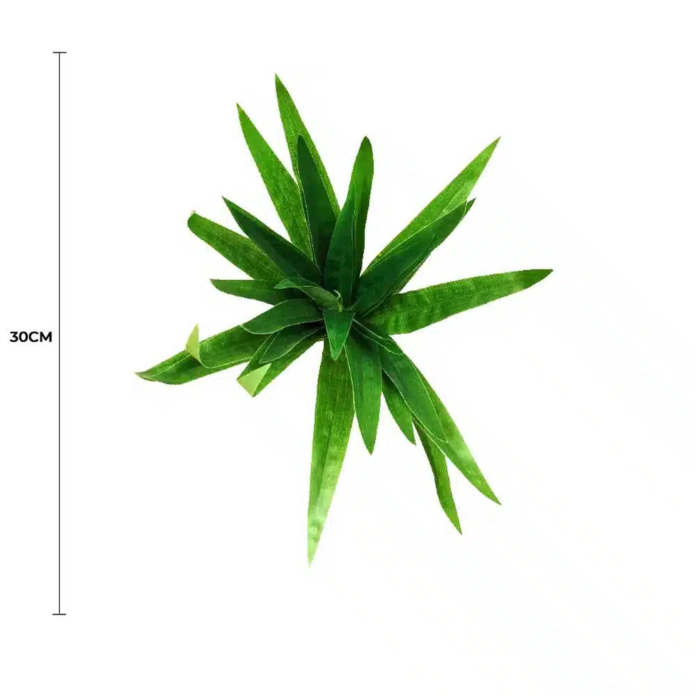 Aloe Vera Stem 30cm - Image 2