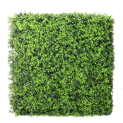 Luxury Deluxe Portable Buxus (Bright) Hedge UV Resistant 75cm x 75cm