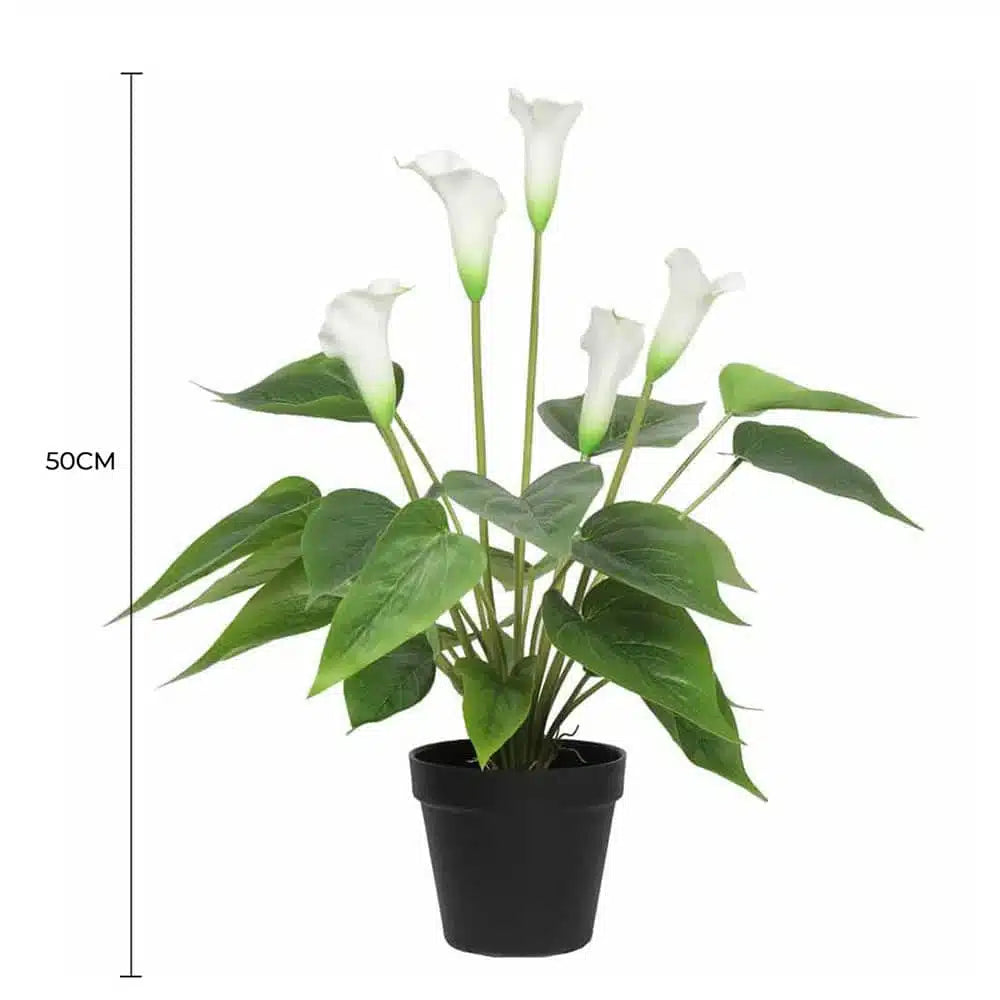 Artificial Flowering White Peace Lily / Calla Lily Plant 50cm - Image 2