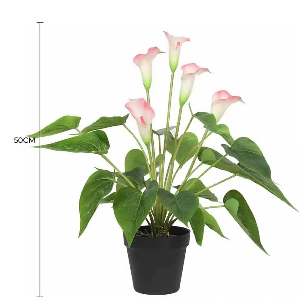 Artificial Flowering White & Pink Peace Lily / Calla Lily Plant 50cm - Image 2