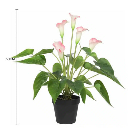 Artificial Flowering White & Pink Peace Lily / Calla Lily Plant 50cm - Image 2