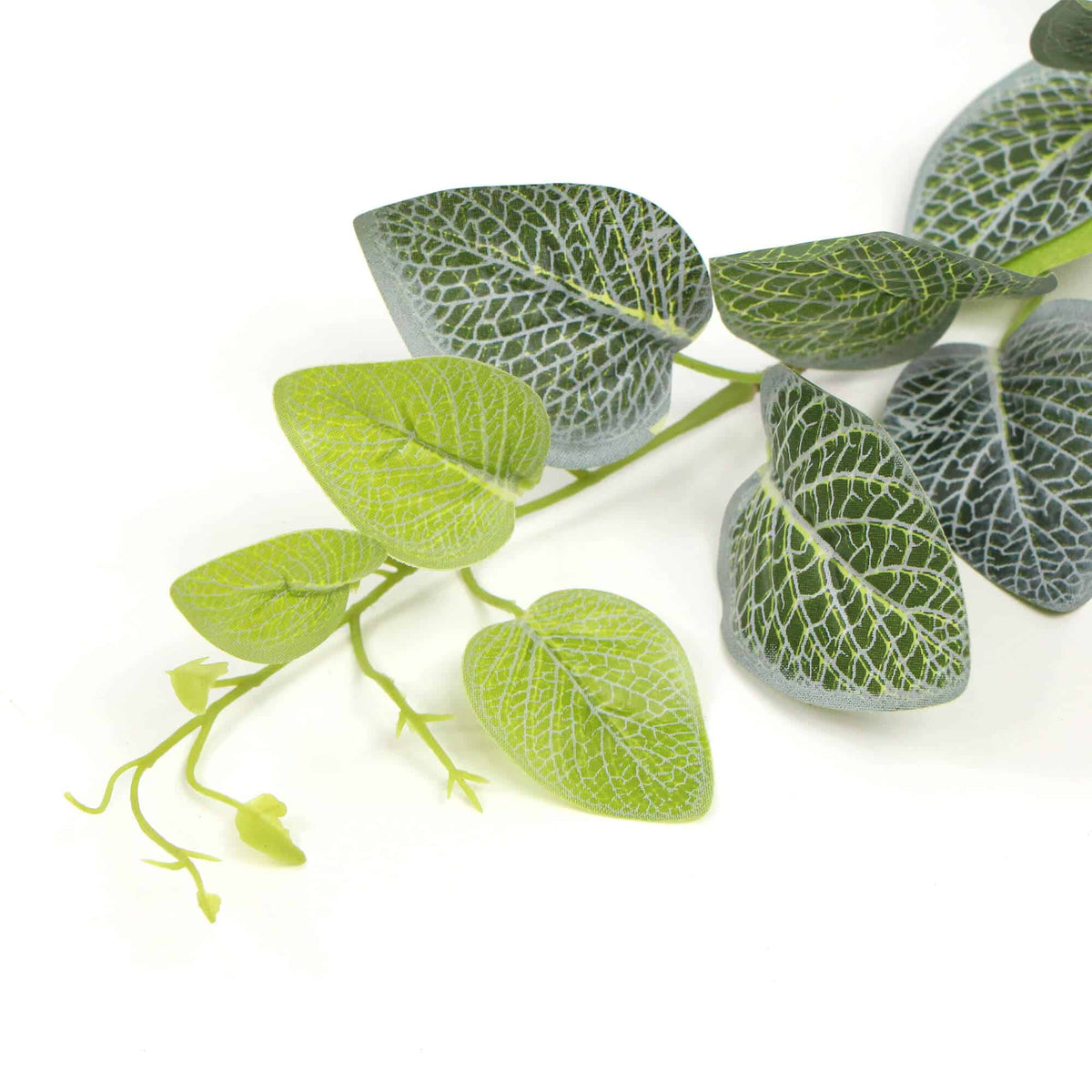Artificial Fittonia Garland 190cm - Image 4