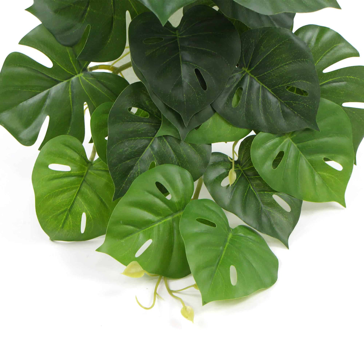 Artificial Monstera Adansonii Plant 50cm - Image 4