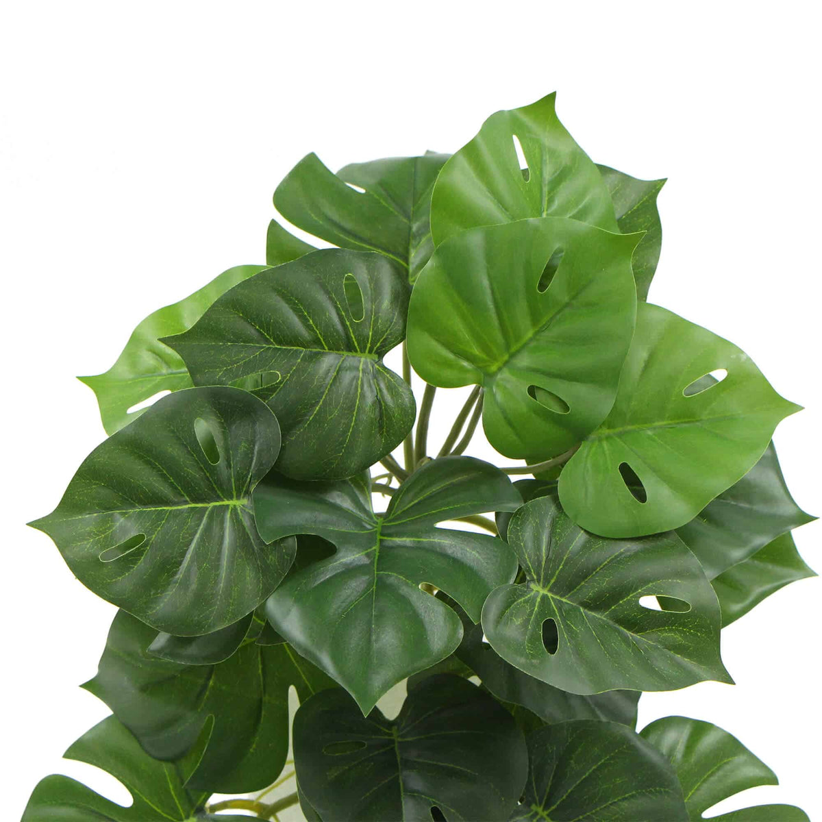 Artificial Monstera Adansonii Plant 50cm - Image 3