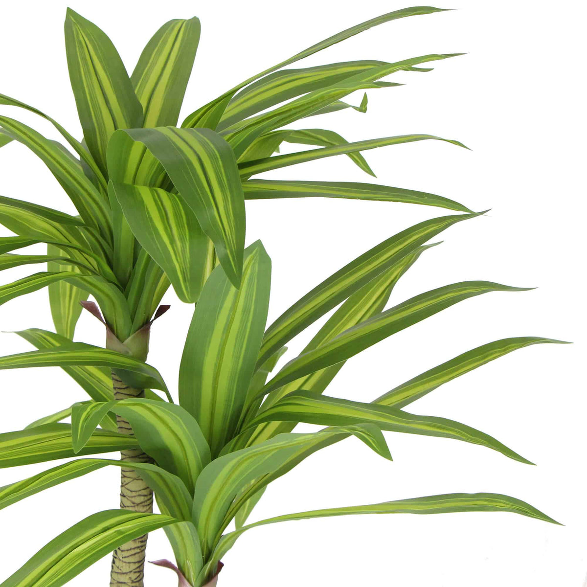 Artificial Multi Head Dracaena Tree with Mixed Green Leaves (Real Touch) 130cm - Image 4