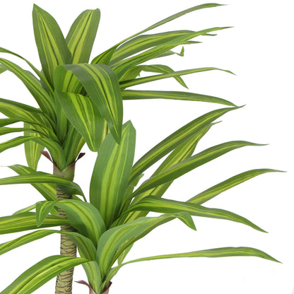 Artificial Multi Head Dracaena Tree with Mixed Green Leaves (Real Touch) 130cm - Image 4