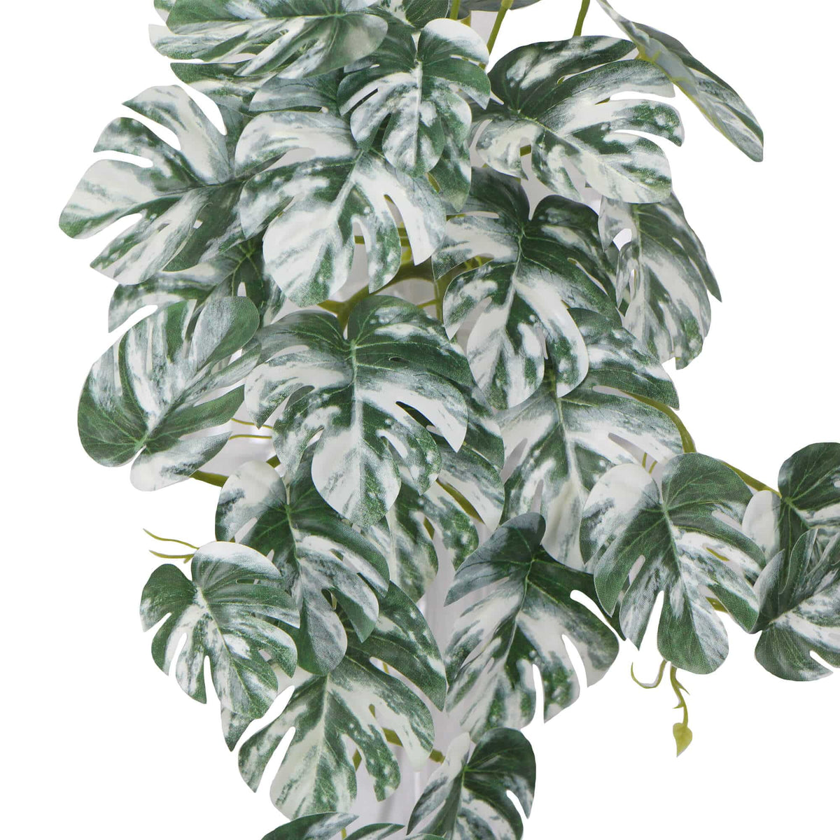 Artificial White & Green Monstera Albo Variegata 45cm - Image 4