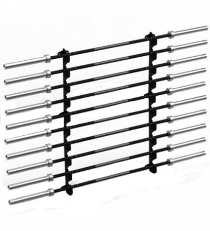 Morgan 10 Tier Barbell Rack