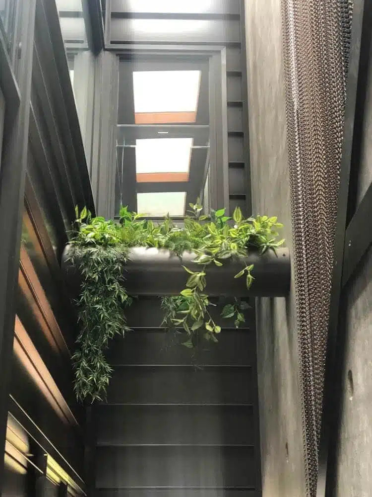 Mixed White and Green Hanging Philodendron Bush 80cm - Image 2