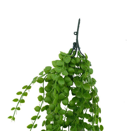 Hanging Pearls UV Resistant 90cm - Image 4