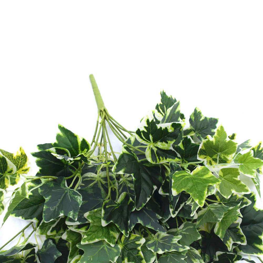 Mixed Green and White Tipped Ivy Bush 100cm - Image 4
