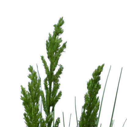 Flowering Native Grass 120cm - Image 4