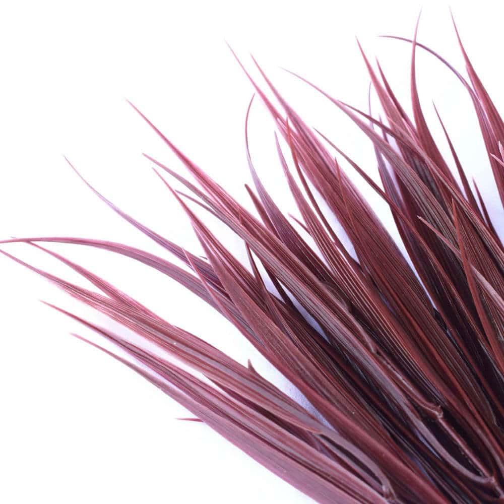 Dark Red Artificial Grass Stem 35cm Long UV Resistant - Image 3