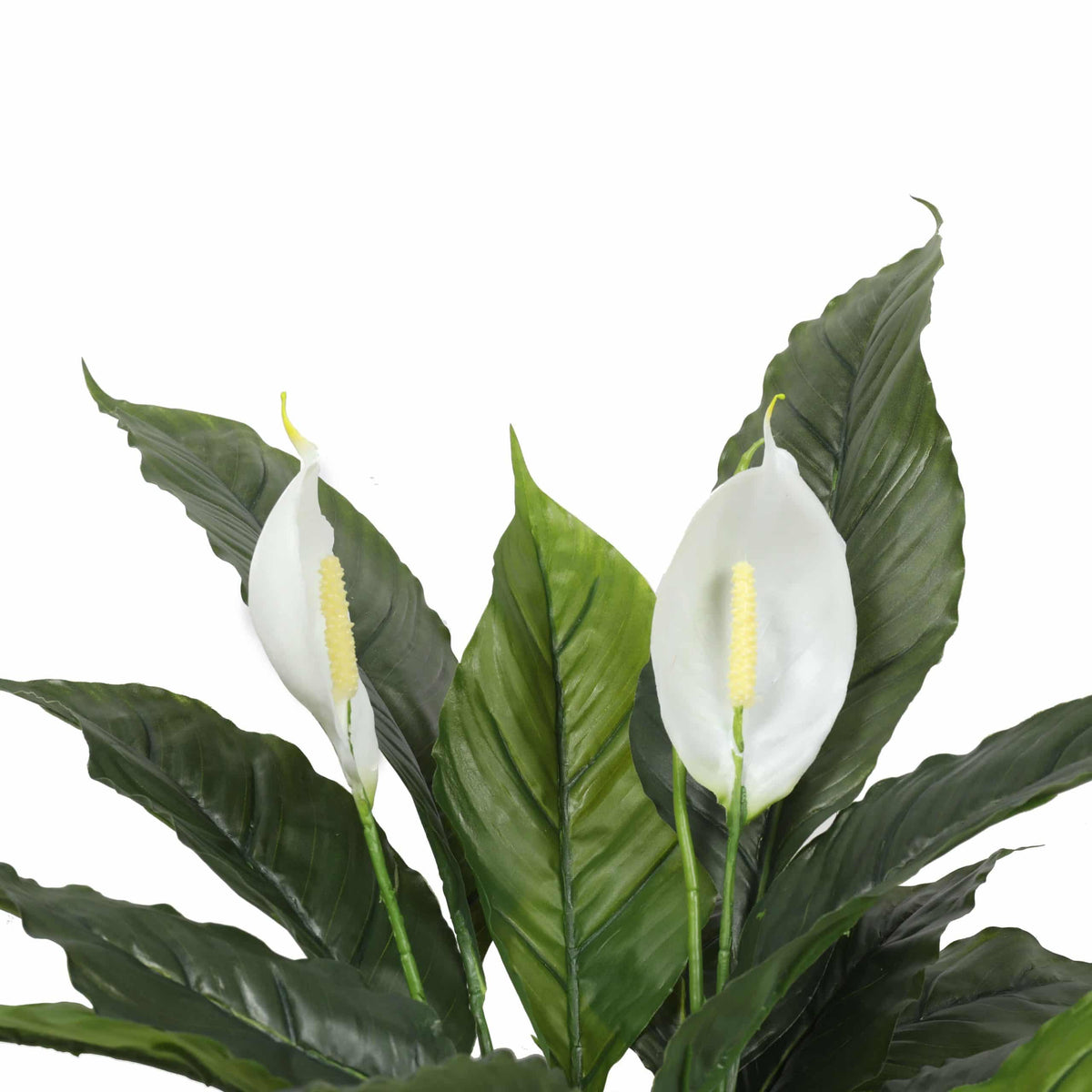 Artificial Spathiphyllum Peace Lily Plant with White Flowers 60cm - Image 3