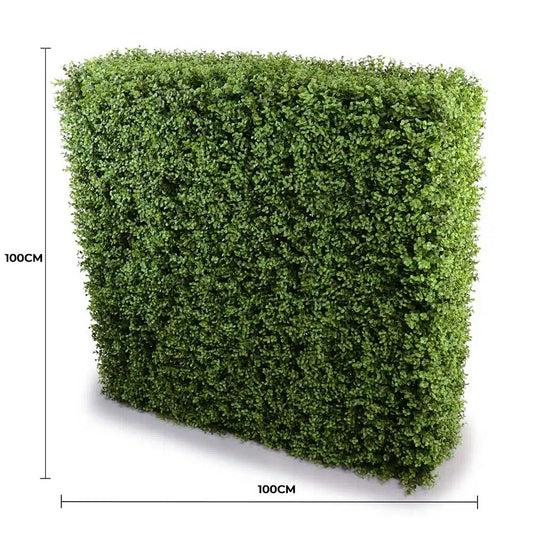 Deluxe Portable Buxus Hedge UV Resistant 100cm Long x 100cm High - Image 2