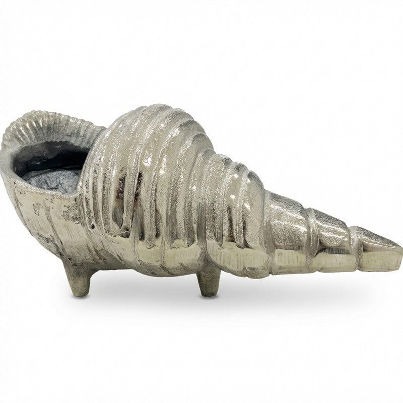 Conch