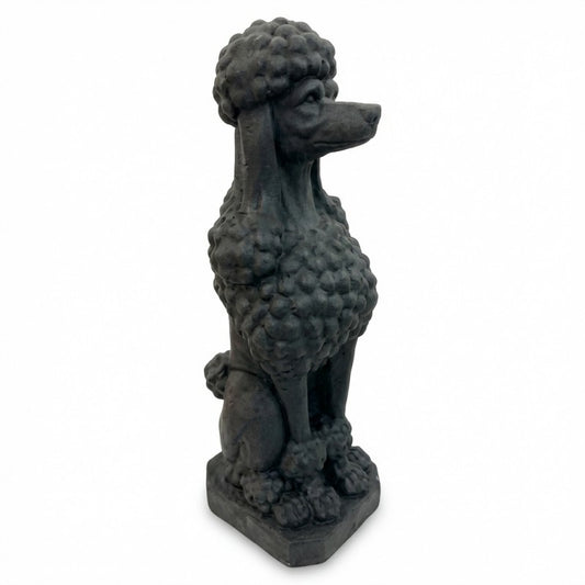 Taj the Poodle Black