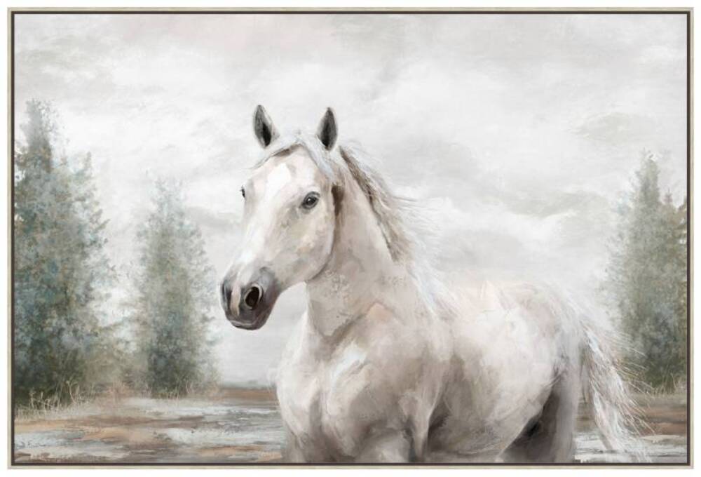 Free Spirit Horse Framed Canvas Wall Art 120cm