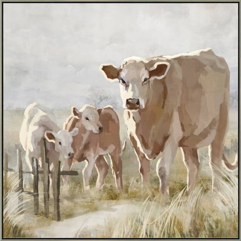 Cows In The Paddock Framed Canvas 80cm