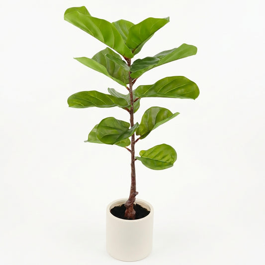 Bulk 2 Artificial Fiddle Leaf in Ceramic Pot 90cm