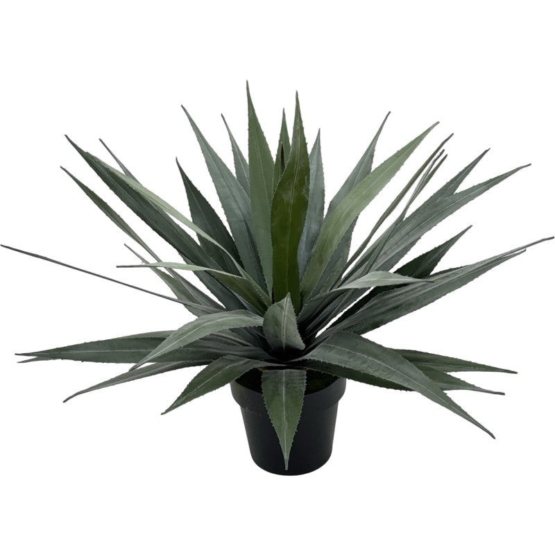Bulk 4 Artificial Agave Plant in Pot