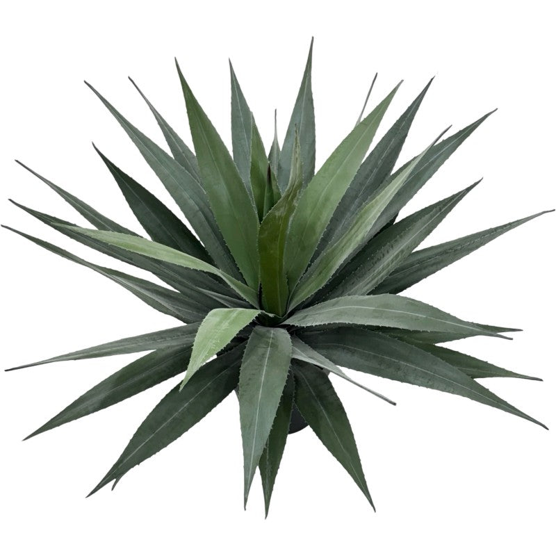 Bulk 4 Artificial Agave Plant in Pot