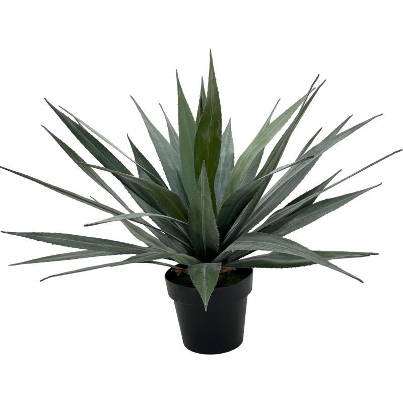 Bulk 4 Artificial Agave Plant in Pot