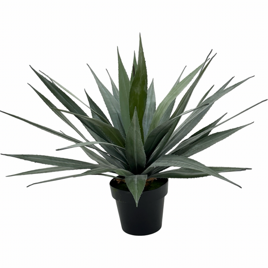 Bulk 4 Artificial Agave Plant in Pot