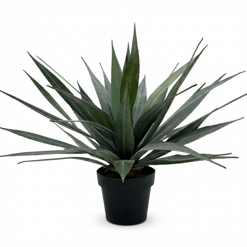 Bulk 4 Artificial Agave Plant in Pot