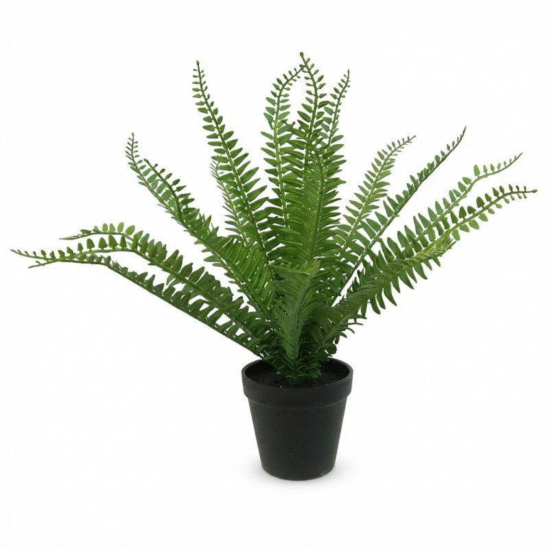 40cm Fern