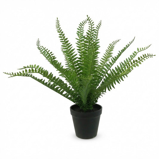 40cm Fern