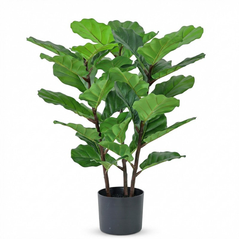70cm Fiddle Leaf Tree
