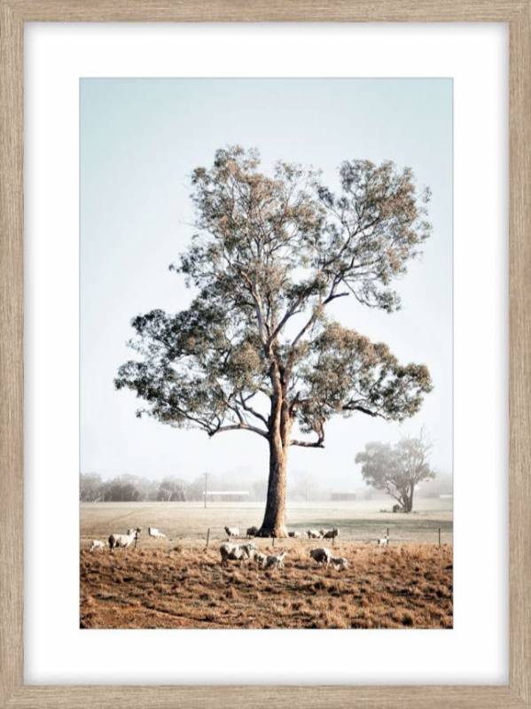 Lover Tree Framed Artwork 80cm
